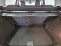 Daumennagel 7 - Mercedes-Benz A 160 CDI BlueEfficiency