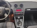 Daumennagel 10 - Audi A3 1.6 Attraction