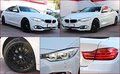 Daumennagel 14 - BMW 420i GranCoupé 2.Hd ACC HUD el.SD SideView Memor