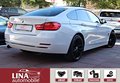 Daumennagel 5 - BMW 420i GranCoupé 2.Hd ACC HUD el.SD SideView Memor