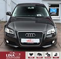 Daumennagel 8 - Audi A3 Sportback 1.4 TFSI BiXen Klimaaut. PDC