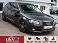 Daumennagel 3 - Audi A3 Sportback 1.4 TFSI BiXen Klimaaut. PDC