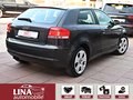 Daumennagel 6 - Audi A3 2.0 TDI Klimaaut. Servo 140Ps 17"Alu