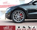 Daumennagel 9 - Audi SQ5 Comp. 3.0 TDI Quat. 2Hd STANDHZ B&O PANO ACC