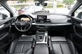 Daumennagel 7 - Audi Q5 2.0 TDI Quat. 1Hd StandHz PANO VIRTUAL Kamera