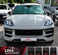 Daumennagel 9 - Porsche Cayenne S E-Hybrid 1Hd CARBON KREIDE BURMES SOFT