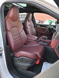 Daumennagel 15 - Porsche Cayenne S E-Hybrid 1Hd CARBON KREIDE BURMES SOFT