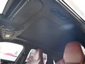 Daumennagel 25 - Porsche Cayenne S E-Hybrid 1Hd CARBON KREIDE BURMES SOFT