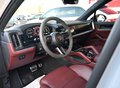 Daumennagel 8 - Porsche Cayenne S E-Hybrid 1Hd CARBON KREIDE BURMES SOFT