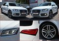 Daumennagel 11 - Audi SQ5 3.0 TDI Quat. StandHzg B&O PANO ACC AHK 21"