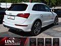 Daumennagel 6 - Audi SQ5 3.0 TDI Quat. StandHzg B&O PANO ACC AHK 21"