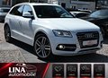 Daumennagel 2 - Audi SQ5 3.0 TDI Quat. StandHzg B&O PANO ACC AHK 21"