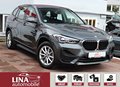 Daumennagel 3 - BMW X1 sDrive 18 i Advantage 1Hd NaviProf LED elHeck