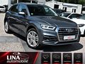 Daumennagel 2 - Audi Q5 40 TDI Quat. S-Line 2Hd StandHz PANO 360° ACC