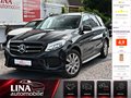 Daumennagel 1 - Mercedes-Benz GLE 350d 4M AMG PANO LUFT 360°Kam ACC AHK H/K