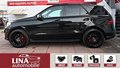 Daumennagel 17 - Mercedes-Benz ML 350 CDI AMG DESIGNO SOFT STANDHZ PAN 360° 22"