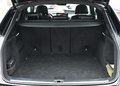 Daumennagel 20 - Audi SQ5 SB 3.0 TDI Quat. RS StandHzg PANO 360° 21"