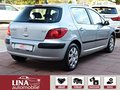 Daumennagel 6 - Peugeot 307 110 Filou Cool 1.HAND KLIMA 109Ps 77.000Km