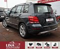 Daumennagel 6 - Mercedes-Benz GLK 220 CDI 4Matic Navi Klimaaut. AHK PDC 19Zoll