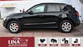 Daumennagel 16 - Audi Q5 2.0 TDI Quat. 3x S-Line Panora B&O ACC AHK