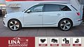 Daumennagel 16 - Audi Q7 3.0 TDI Quat. S-Line 7SITZ StandHz SOFT PANO