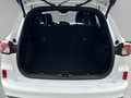 Daumennagel 5 - Ford Kuga ST-Line X