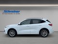 Daumennagel 2 - Ford Kuga ST-Line X