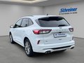 Daumennagel 3 - Ford Kuga ST-Line X