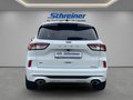 Daumennagel 4 - Ford Kuga ST-Line X
