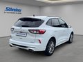 Daumennagel 6 - Ford Kuga ST-Line X