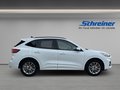 Daumennagel 7 - Ford Kuga ST-Line X