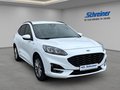 Daumennagel 8 - Ford Kuga ST-Line X