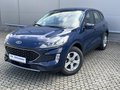 Daumennagel 1 - Ford Kuga Plug-In Hybrid Cool & Connect Frontscheibe heizbar | Lenkrad heizbar