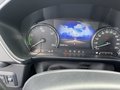 Daumennagel 19 - Ford Kuga Plug-In Hybrid Cool & Connect Frontscheibe heizbar | Lenkrad heizbar