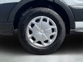 Daumennagel 9 - Ford Transit Kasten 350 L3 Trend