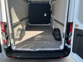 Daumennagel 10 - Ford Transit Kasten 350 L3 Trend