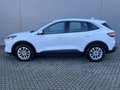 Daumennagel 5 - Ford Kuga Plug-In Hybrid Titanium