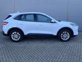 Daumennagel 6 - Ford Kuga Plug-In Hybrid Titanium