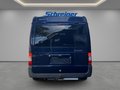 Daumennagel 4 - Ford Transit Kombi FT 300 K Trend Nugget Westfalia