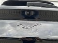 Daumennagel 18 - Ford Mustang Mach-E Basis AWD Panoramadach