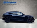 Daumennagel 7 - Ford Mustang Mach-E Basis AWD Panoramadach
