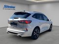 Daumennagel 5 - Ford Kuga Plug-In Hybrid ST-Line X