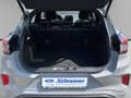 Daumennagel 10 - Ford Puma ST-Line X
