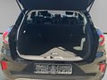 Daumennagel 10 - Ford Puma Titanium