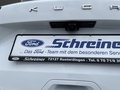 Daumennagel 10 - Ford Kuga Plug-In Hybrid ST-Line X