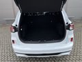 Daumennagel 15 - Ford Kuga Plug-In Hybrid ST-Line X