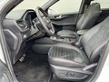 Daumennagel 12 - Ford Kuga Plug-In Hybrid ST-Line X