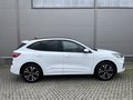 Daumennagel 4 - Ford Kuga Plug-In Hybrid ST-Line X