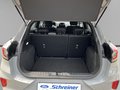 Daumennagel 10 - Ford Puma ST-Line