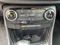 Daumennagel 17 - Ford Puma ST-Line
